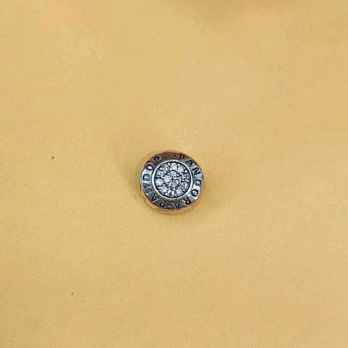 Pandora Bead Charm